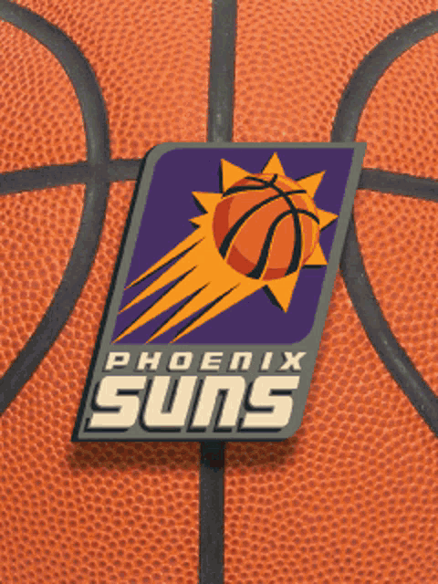 Phoenix Suns Suns Gif GIF