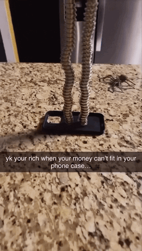 Phone Case With Spider