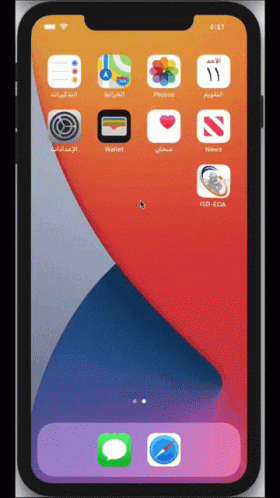 Phone Screen Wallet Icon