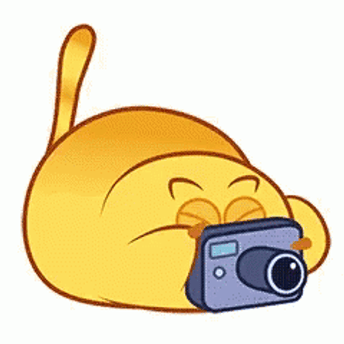 Photographer Cartoon Cat GIF