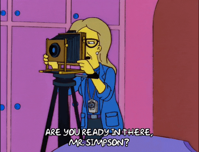Photographer Lady The Simpsons GIF