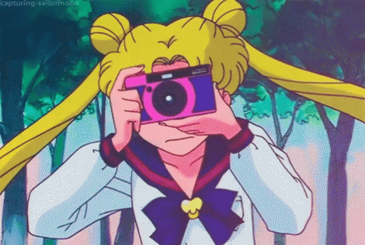 Photographer Sailor Moon GIF