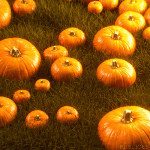 Pi Slices Pumpkin Patch GIF