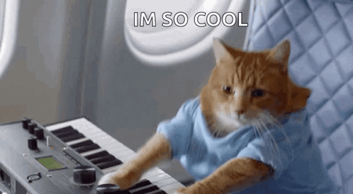 Piano Dancing Cat Meme GIF
