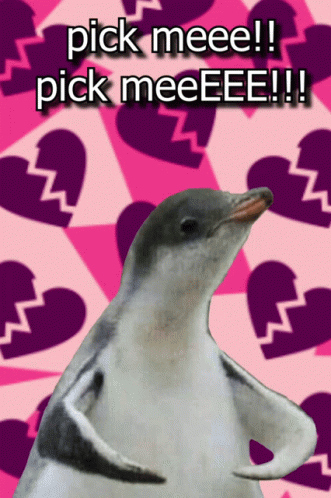 Pick Me Penguin GIF