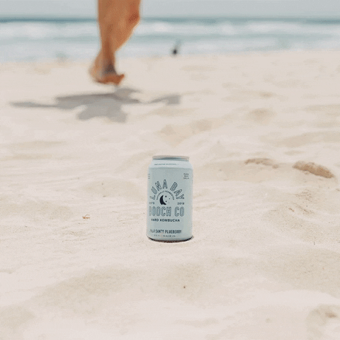 Picked Up Kombucha On Beach GIF