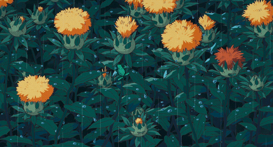 Picking A Yellow Chamomile GIF