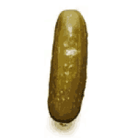 Pickle Deal With It Gif GIF