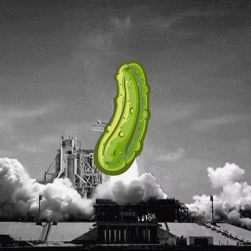 Pickle Launched Into Sky