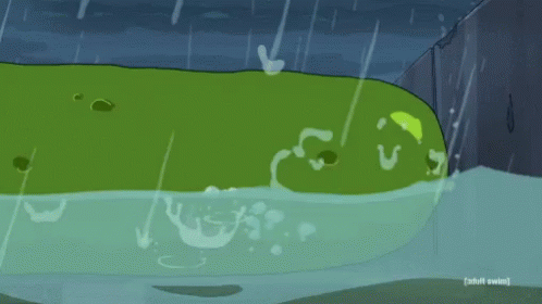 Pickle Rick 498 X 280 Gif GIF