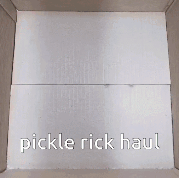 Pickle Rick Haul Person Holding Pickle In Box GIF