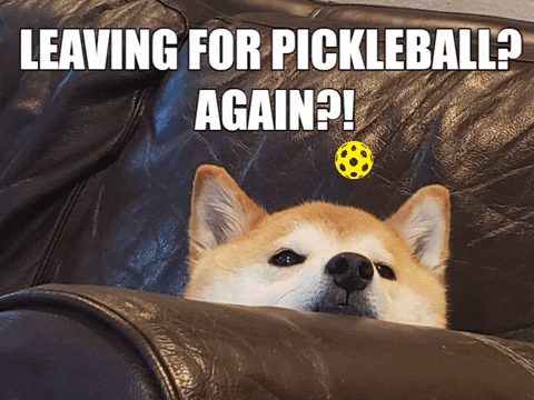 Pickleball Shiba Inu Peeking GIF