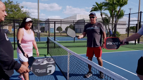Pickleball Tap Greeting Match Up GIF
