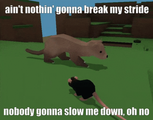 Picture of Ferret and Rat With Caption Ain't Nothin' Gonna Break My Stride