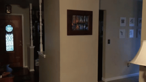 Picture On Wall In Hallway With Lamp GIF