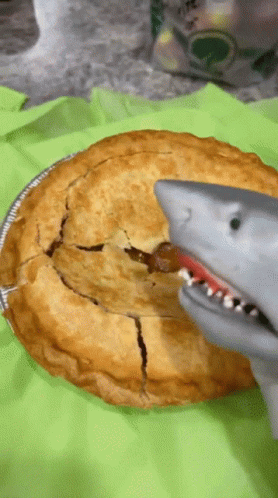 Pie with Bite and Toy Shark