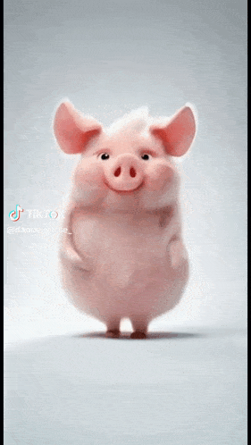 Pig Dancing Dance Gif GIF