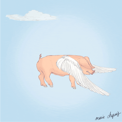 Pig Flies Flapping Wings Animation GIF