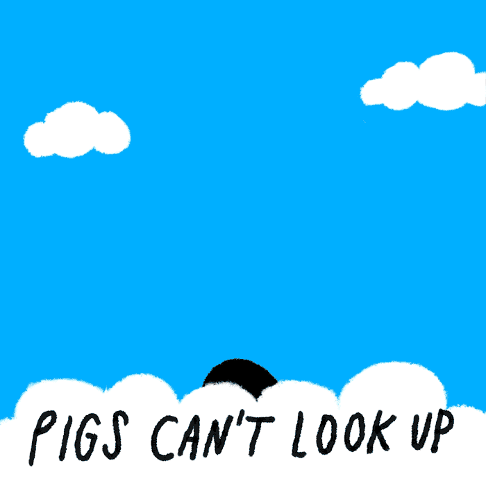 Pig Flies Floating In Balloon Outline Animation GIF