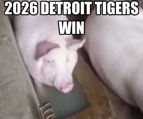Pig in Box 2026 Detroit Tigers Win