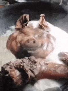 Pig Laying On Dirt With Word Line GIF