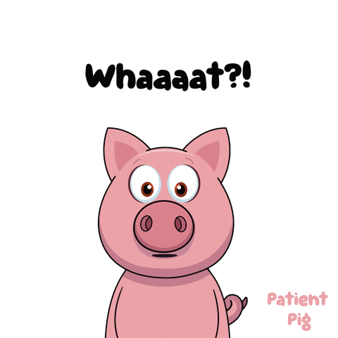 Pig Mouth Open Whaaat GIF