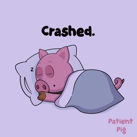 Pig Sleeping Under Blanket Crashed GIF