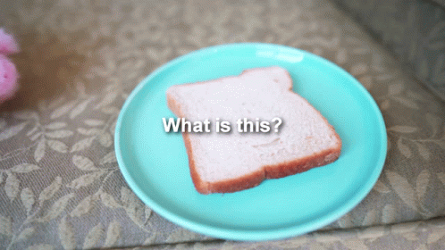 Pig Stuffed Toy Omg Toast Bread GIF