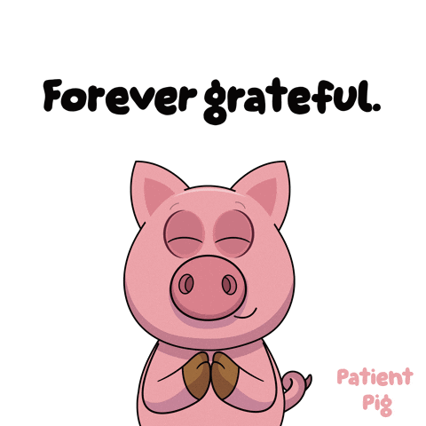 Pig with Eyes Closed Forever Grateful