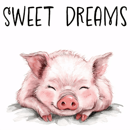 Pig With Sweet Dreams