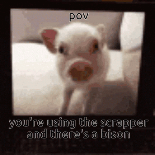 Pig You're Using the Scrapper and There's a Bison