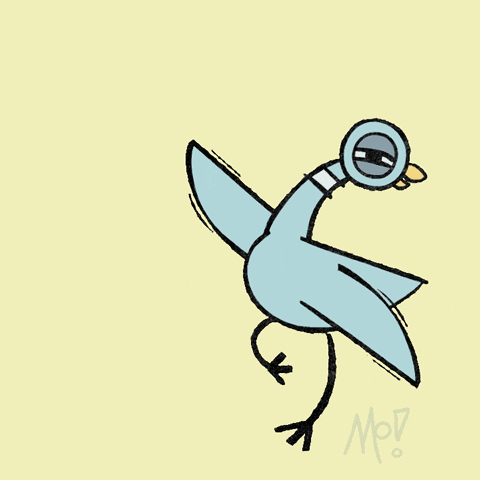 Pigeon Bird Happy GIF