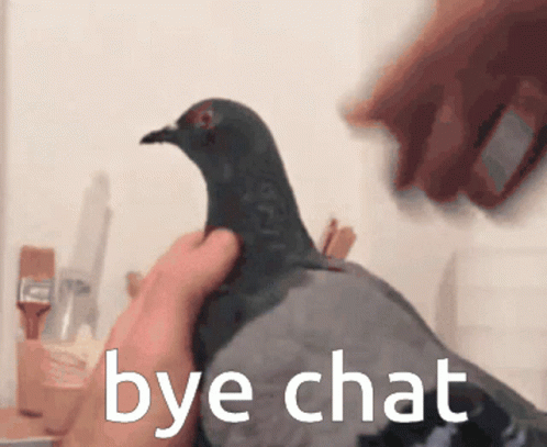 Pigeon Cut Head Bye Chat GIF