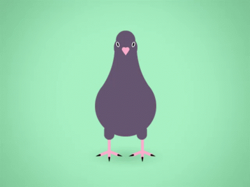 Pigeon Dance Animated GIF