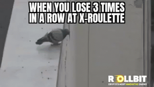 Pigeon Standing On Wall Next To Window GIF