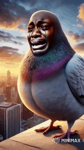 Pigeon with Tears Sitting on Ledge