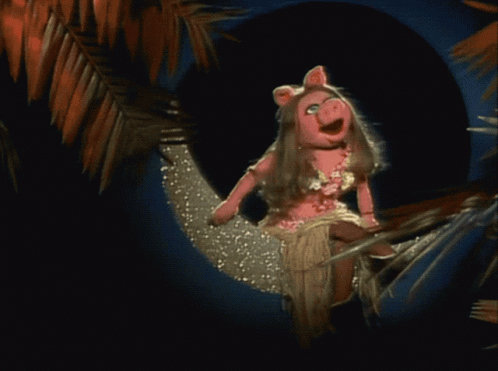 Piggy Doll Sitting on Hammock With Palm Tree