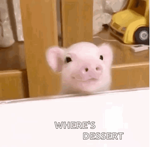 Piglet Finding Where's Dessert GIF