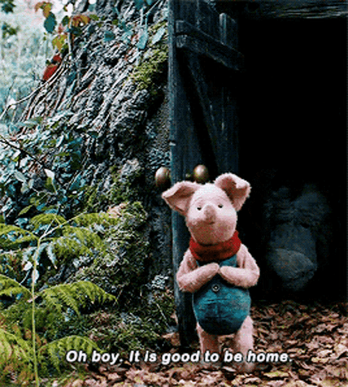 Piglet Theres No Place Like Home GIF