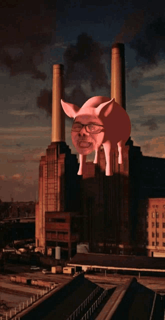 Pigs On The Wing Meme GIF