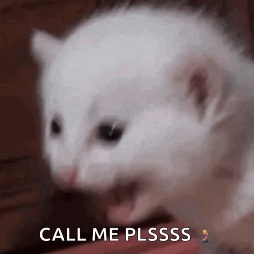 Pikachu Holding Cell Phone GIF