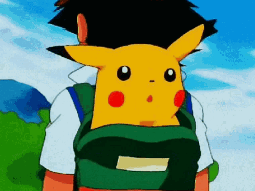 Pikachu On The Bag Hiding Meme GIF