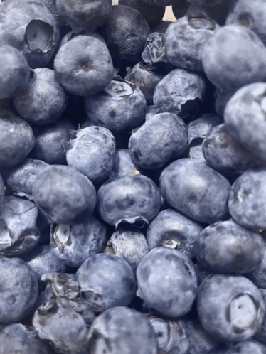 Pile of Blueberries With a Few Missing