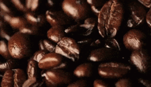 Pile of Coffee Beans