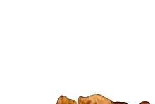 Pile of Fried Chicken Wings