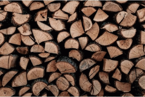 Pile of Logs