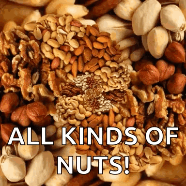 Pile of Nuts Saying All Kinds of Nuts