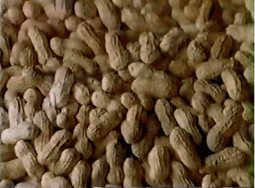 Pile of Peanuts in Shells With Some Missing