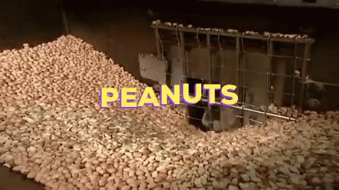 Pile Of Peanuts With Text Peanuts GIF