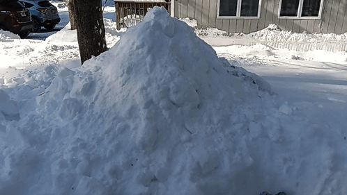 Pile of Snow in Front of House With Tree